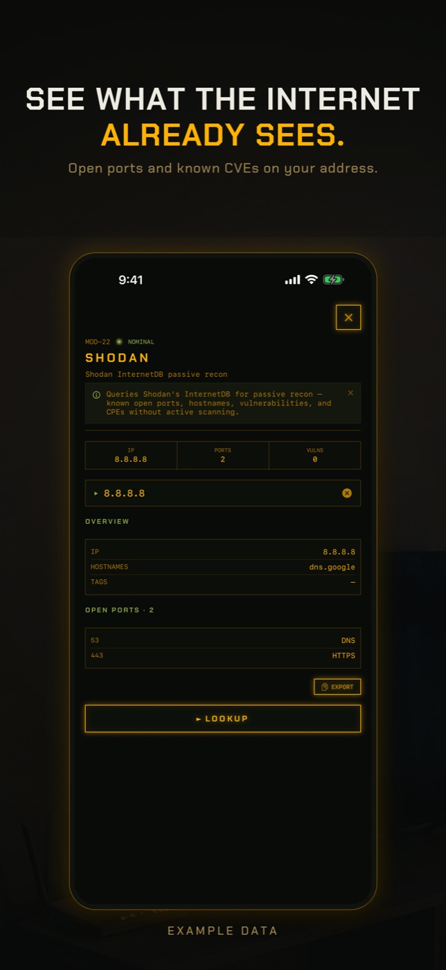 RECON Shodan lookup on an iPhone showing open ports and known vulnerabilities for a public address